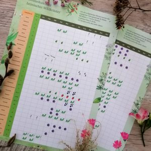 Sammelkalender heimischer Wildkräuter A4 – Download