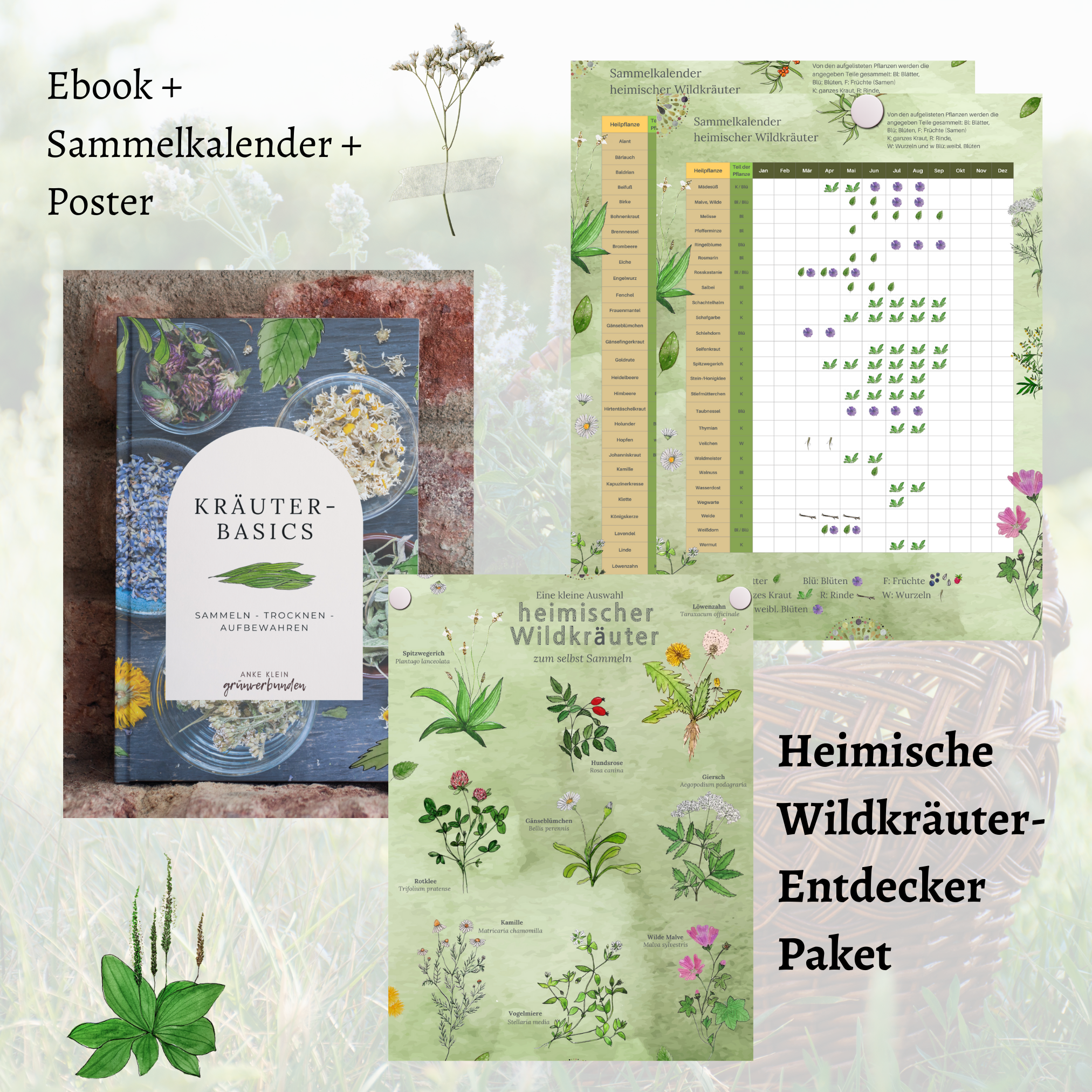 Heimische Wildkräuter – Entdecker Paket | Download