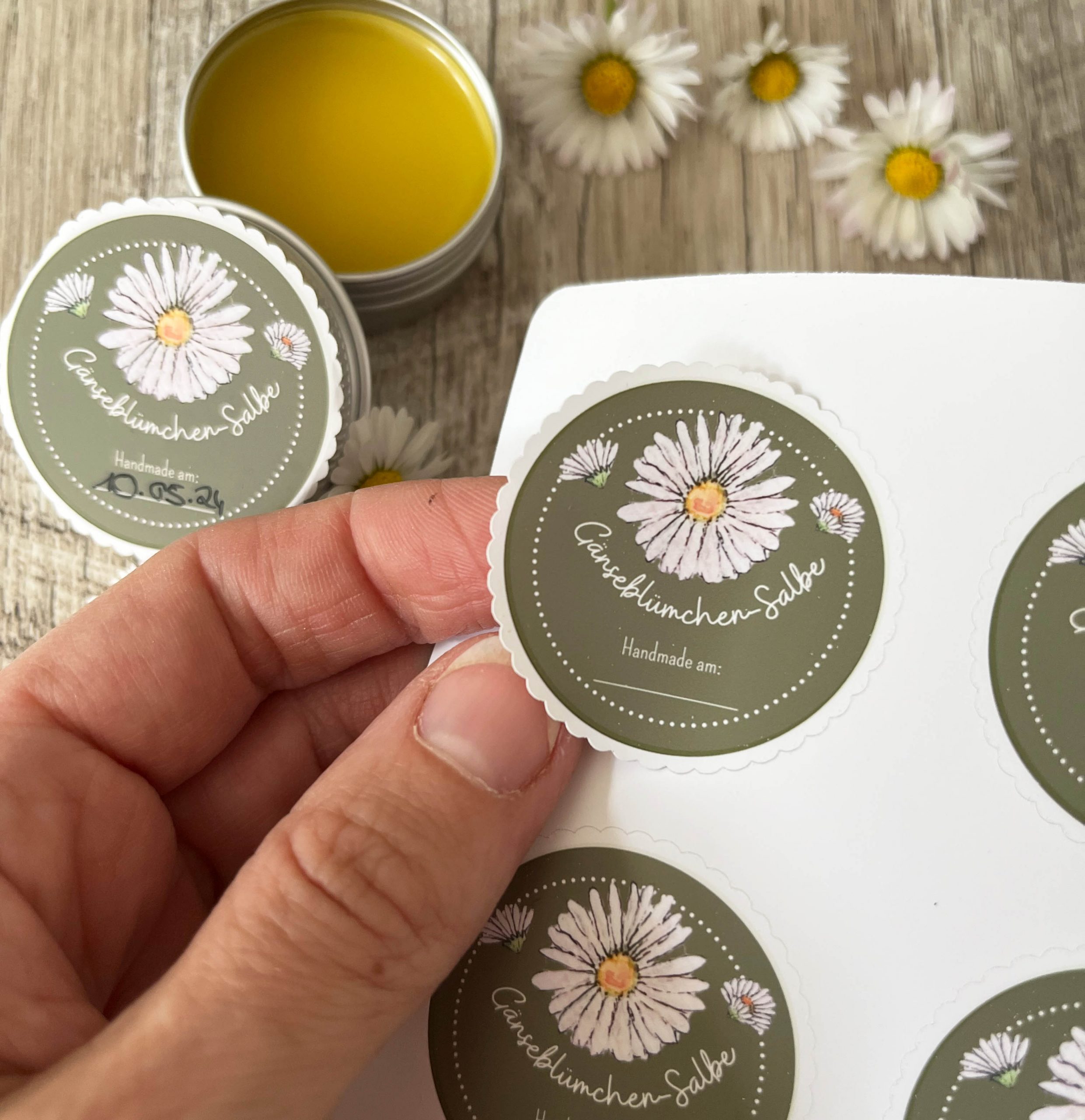 Gänseblümchen-Salbe Etiketten – Sticker Sheet