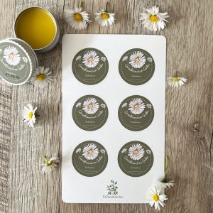 Gänseblümchen-Salbe Etiketten – Sticker Sheet