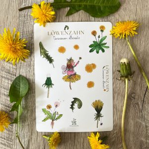 Löwenzahn Sticker Sheet | Taraxacum officinalis