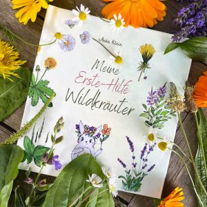 Büchlein „Meine erste Hilfe Wildkräuter“ – Kurze Abenteuer-Geschichten und heilende Pflanzen für kleine Naturforscher