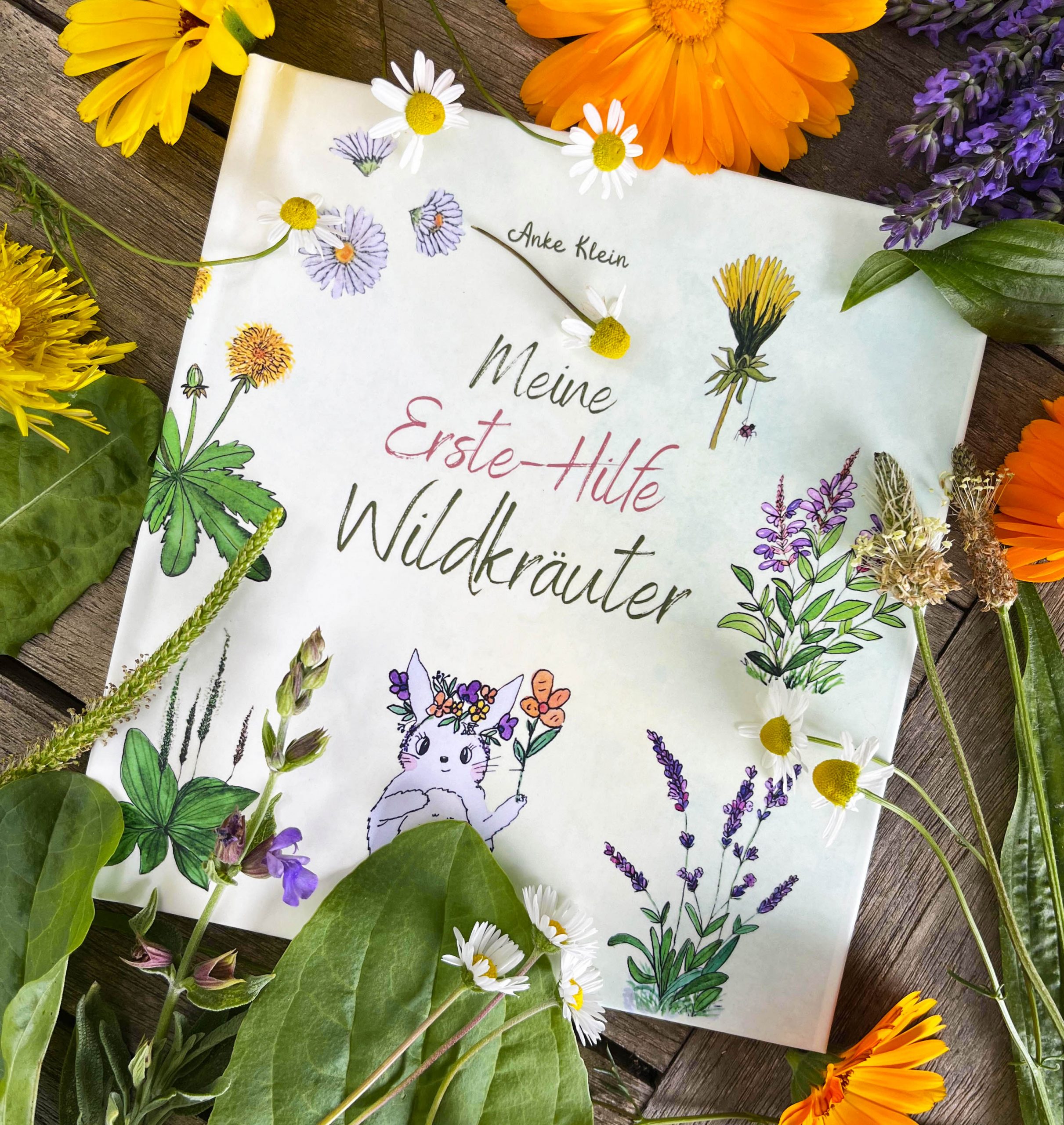 Büchlein „Meine erste Hilfe Wildkräuter“ – Kurze Abenteuer-Geschichten und heilende Pflanzen für kleine Naturforscher