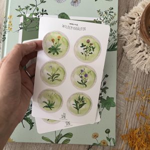 ABVERKAUF! Wildkräuter-Materia Medica inkl. Pflanzenkarten