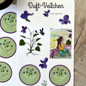Veilchen-Tagescreme Etiketten & Violoa odorata Sticker Sheet