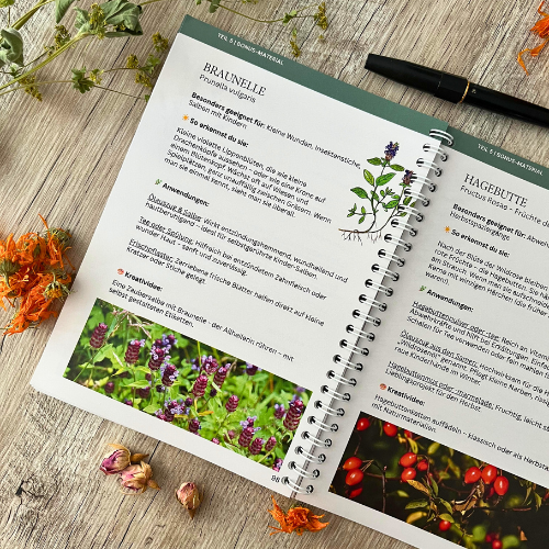 Praxis-Guide Naturkosmetik mit Kindern - Ringbuch + Ebook Bundle – Bild 5