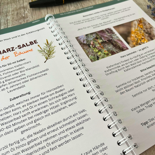 Praxis-Guide Naturkosmetik mit Kindern - Ringbuch + Ebook Bundle – Bild 4