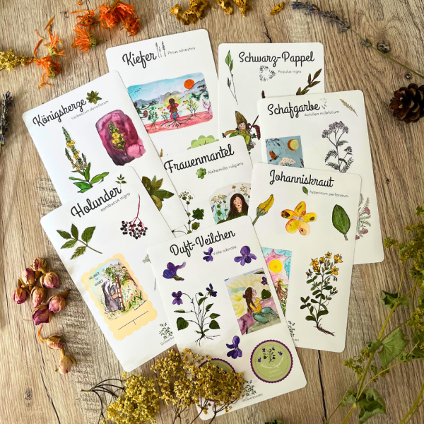 Sticker-Set – Pflanzen im Jahreskreis