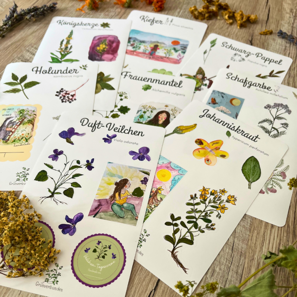 Sticker-Set – Pflanzen im Jahreskreis – Bild 3