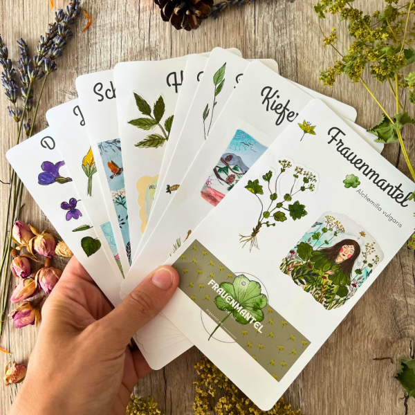 Sticker-Set – Pflanzen im Jahreskreis – Bild 2