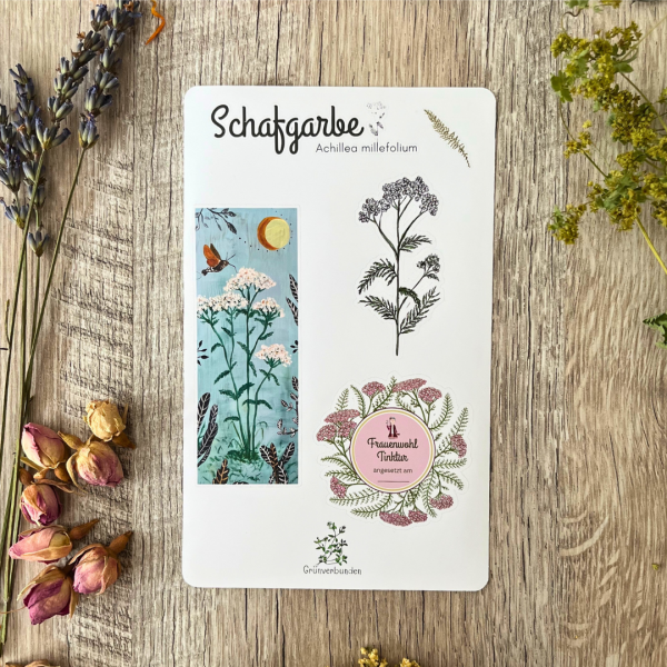 Sticker Sheet – Schafgarbe (Achillea millefolium)