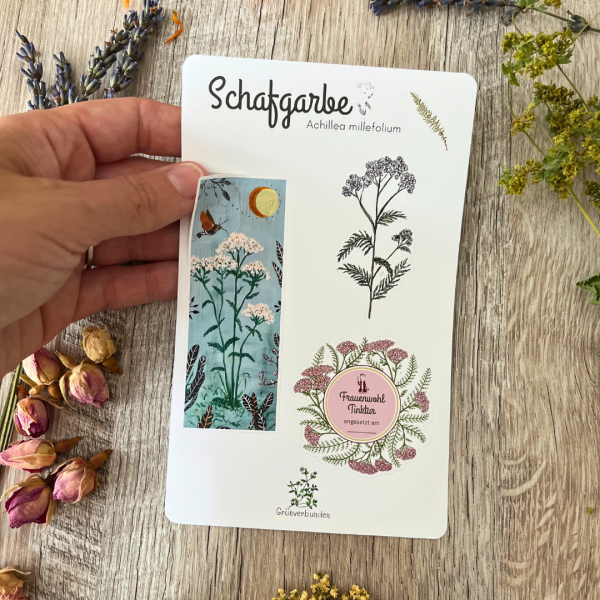 Sticker Sheet – Schafgarbe (Achillea millefolium) – Bild 2