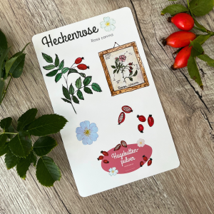 Sticker Sheet – Heckenrose (Canina rosa)