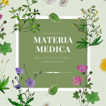 Cover Materia Medica 50 Pflanzen final (212 × 299 mm) (2) Cover Materia Medica 50 Pflanzen final (212 × 299 mm) (2)
